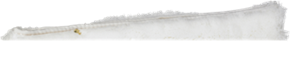 Raamwasbont