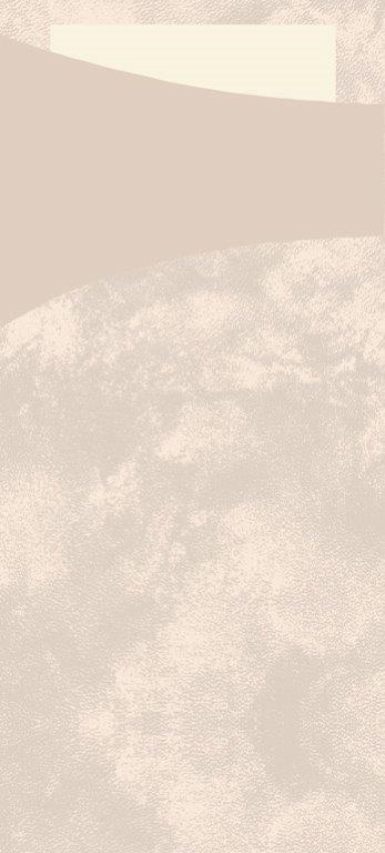 Duni Sachetto nature/cream