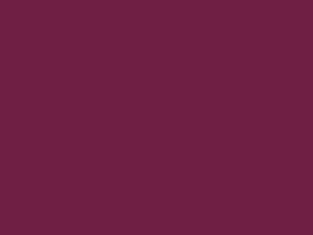Placemats Bordeaux