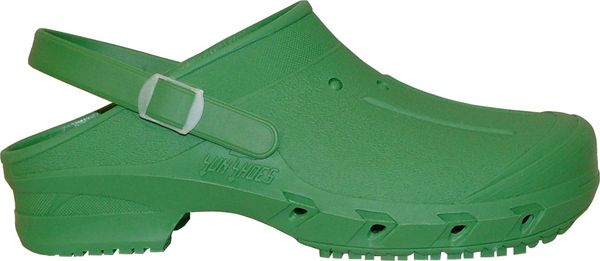 Professional Plus klompen groen (45)