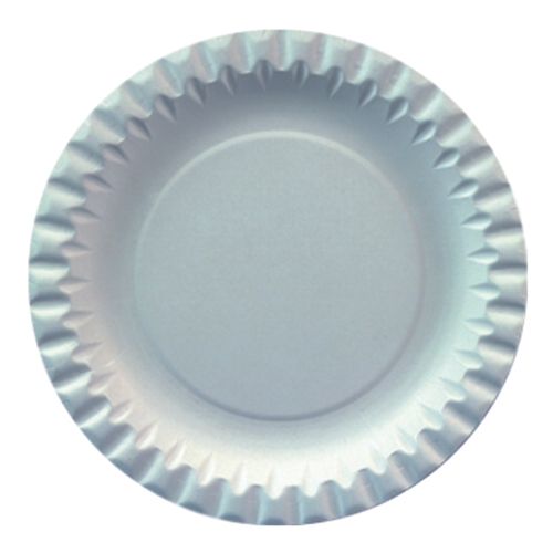 Kartonnen borden 15cm